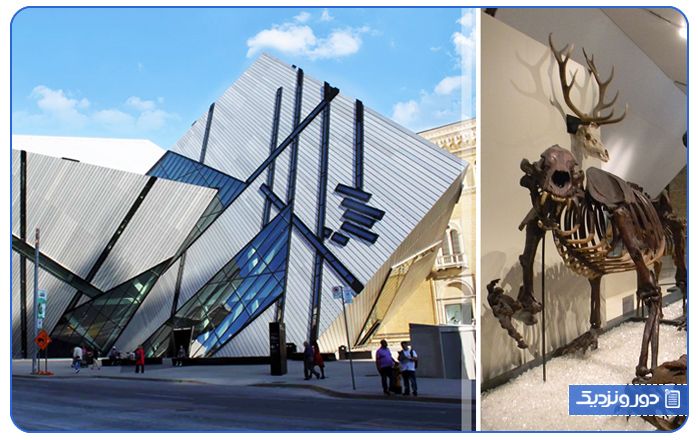 چرا موزه انتاریو از بهترین جاذبه های تورنتو محسوب می شود