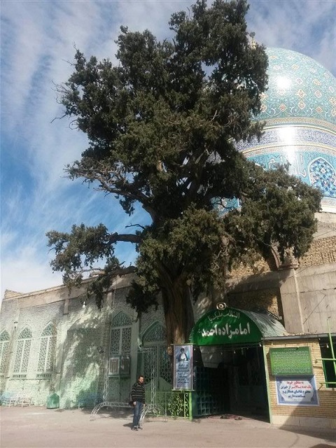 امامزاده احمد سیرجان