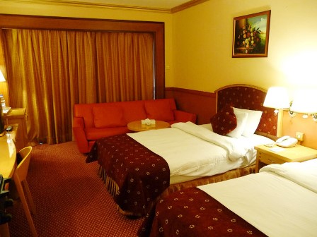 امکانات اتاق های هتل دلمون دبی