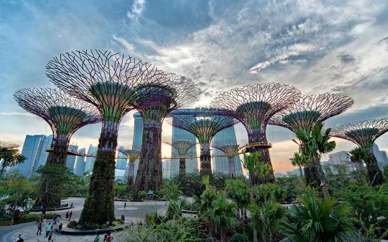 باغ های کنار خلیج سنگاپور