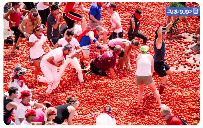 جشنواره گوجه فرنگی