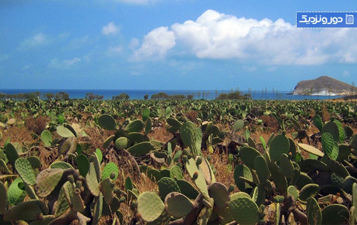 زیباترین سواحل اندلسساحل زاهارا دلاس آتونس (کادیز)