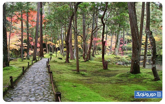 باغ‌های ذن ژاپنی باغ‌های ژاپنی