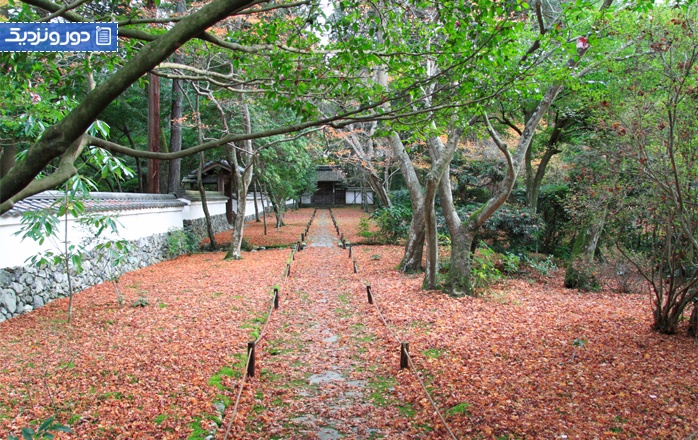 زیباترین باغ‌های ژاپنی سنتی در کیوتو