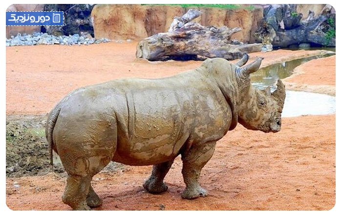 پارک ملی حیوان‌شناسی آفریقا
